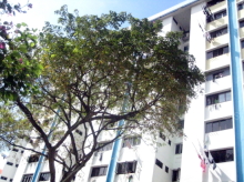 Blk 141 Jalan Bukit Merah (Bukit Merah), HDB 3 Rooms #13632